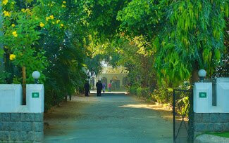 Hotel Fort Palace主图