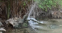 Enot Tsukim Nature Reserve - Ein Feshkha-Dead Sea Region必去景点