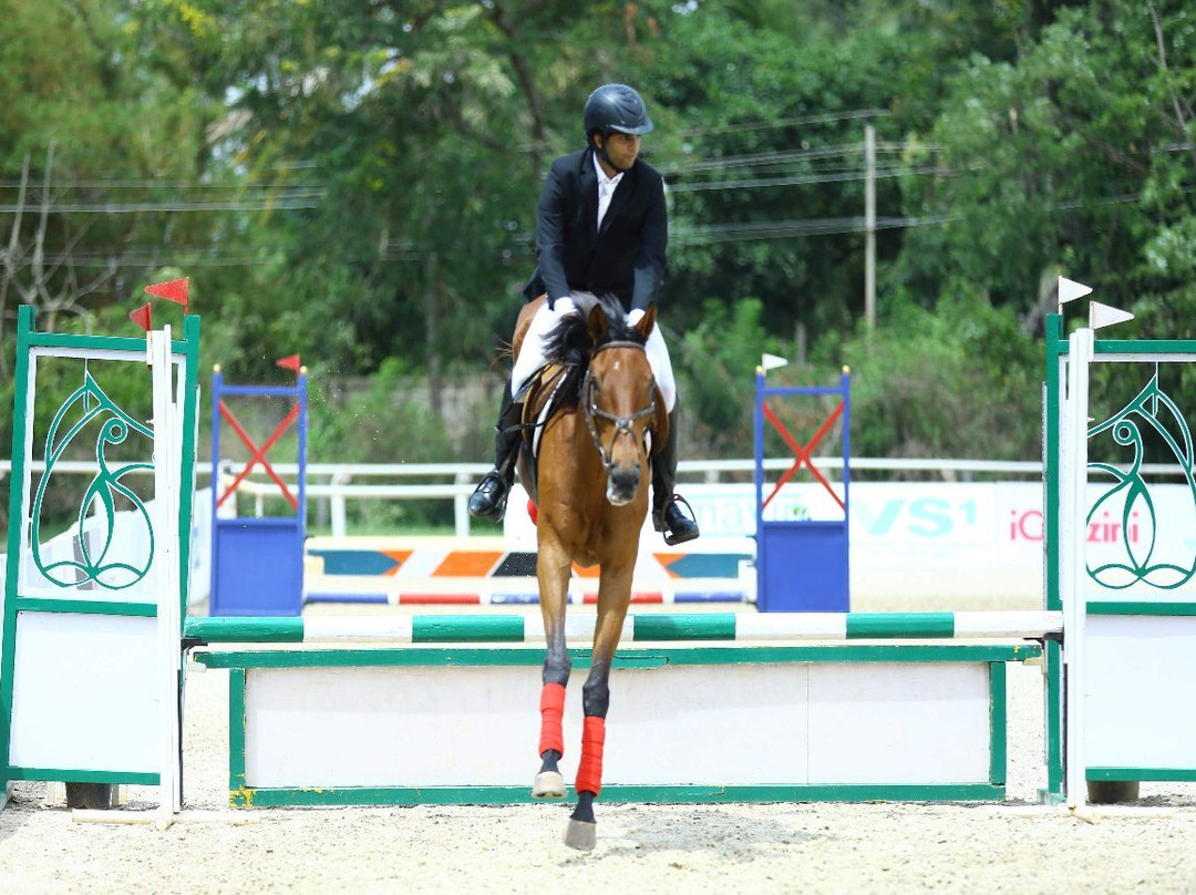 Kings Farm Horse Riding School景点图片