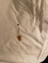 Super 8 by Wyndham Tucumcari主图