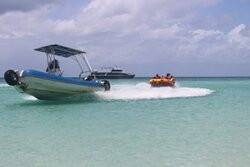 Tasman Venture - Day Tours-赫维湾必去景点