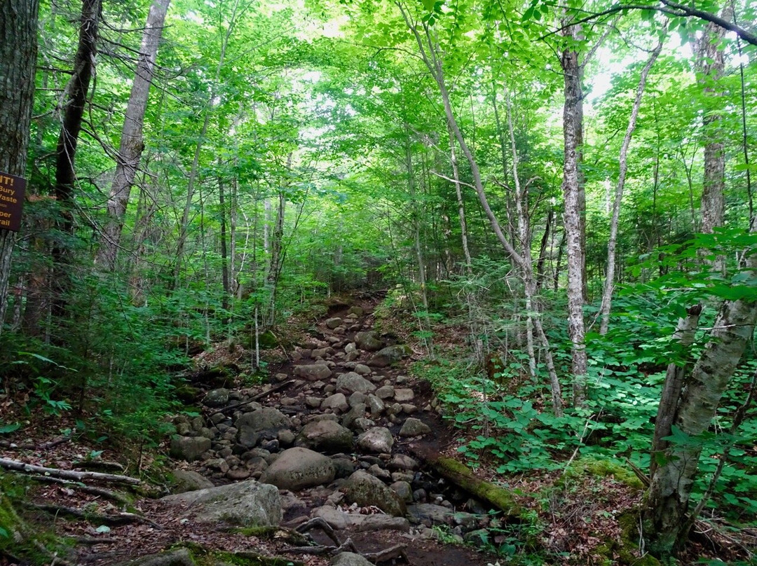 Algonquin Mountain-普莱西德湖必去景点