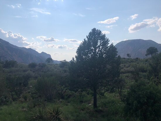 Chisos Mountains景点图片