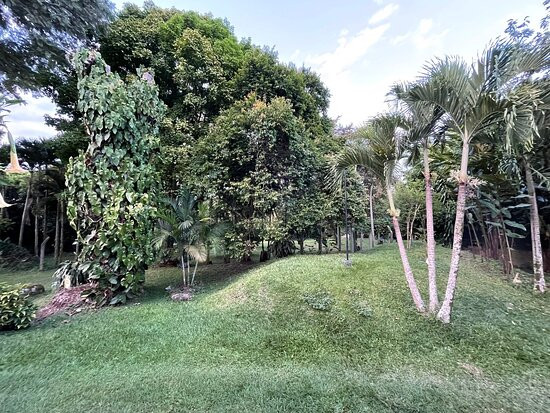 卡萨圣莫妮卡潘瑟酒店主图