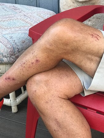 Barefoot Tubing-Morgan必去景点