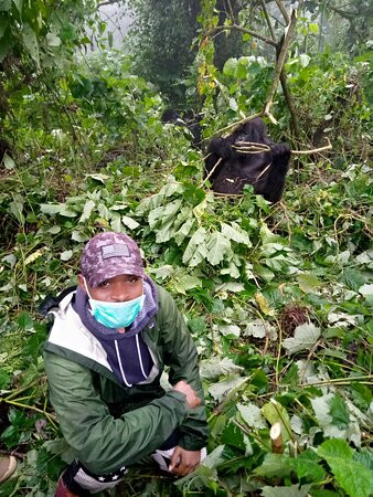 Virunga National Park - Mount Nyiragongo & Mountain Gorilla Treks-Goma必去景点