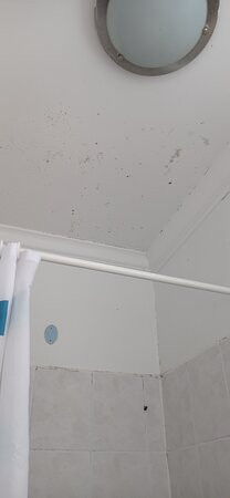 Hotel Plaza Concepcion主图