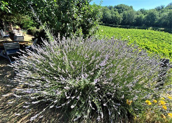 勒赛迪内乐酒店-浴室