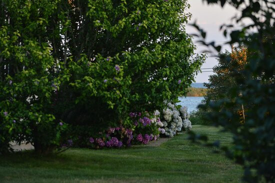 Stone House Inn主图