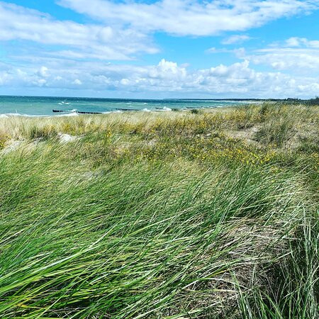 The Grand Ahrenshoop主图