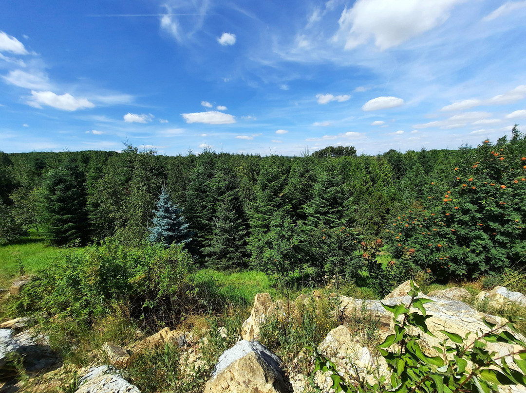 Forstbotanischer Garten Thrandt景点图片