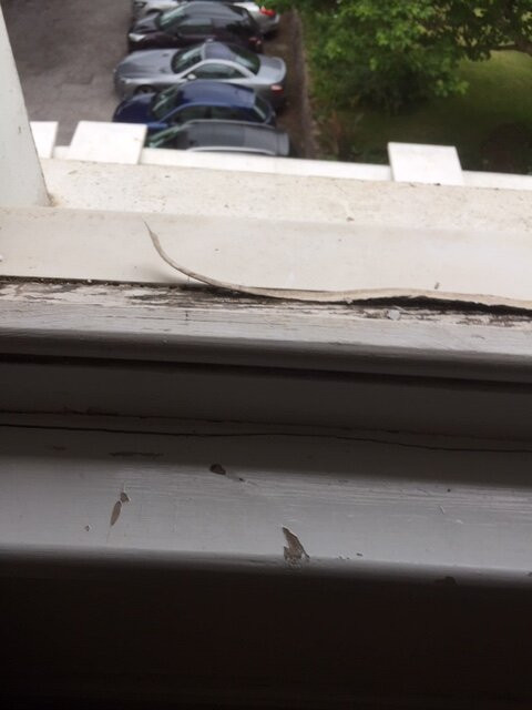 TLH Toorak Hotel主图