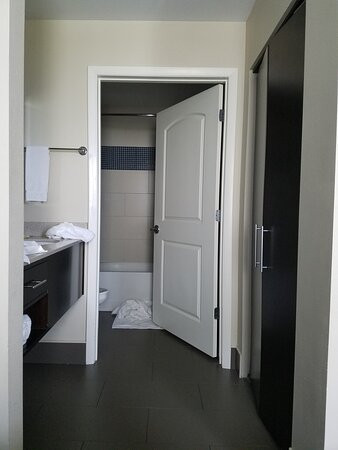 Staybridge Suites St. Petersburg Downtown by IHG主图