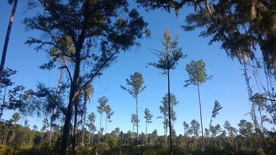 Melon Bluff Nature Center-Sunbury必去景点