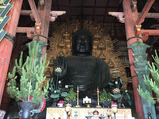Daibutsuden景点图片