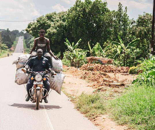 The Safari Vibes-坎帕拉必去景点