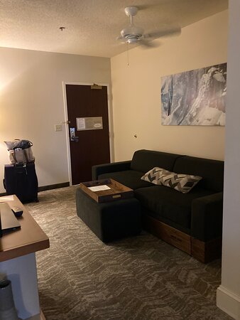 费尔班克斯万豪春季山丘套房酒店-客卧