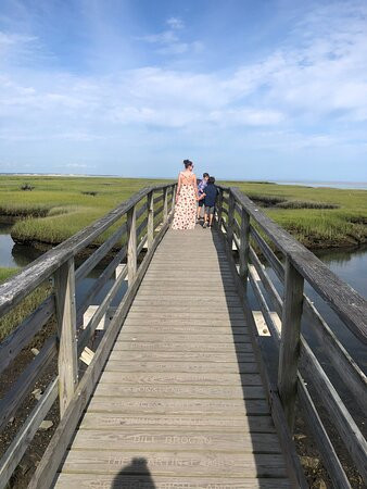 Bass Hole Boardwalk景点图片