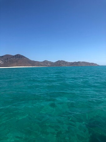 Lobitos Seafari-拉巴斯必去景点