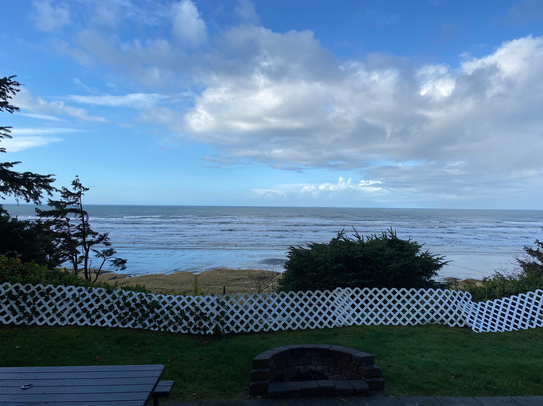 Seashore Dreams