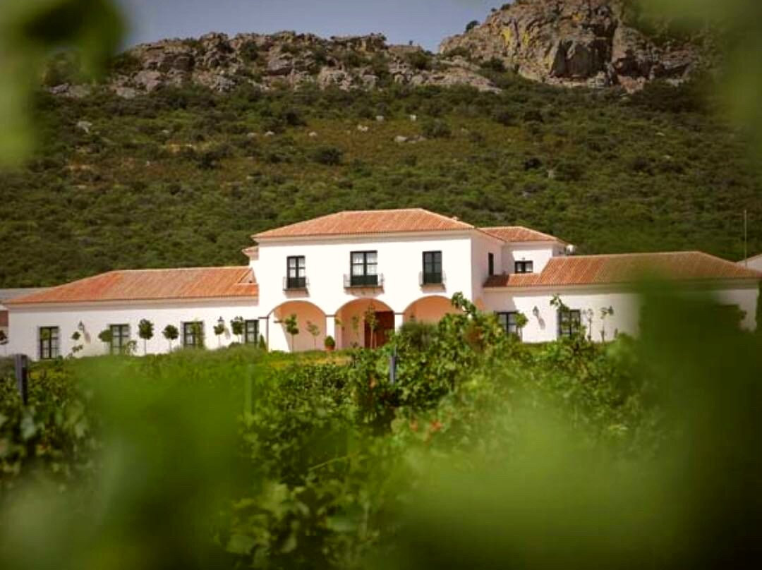 Valdealto Winery景点图片