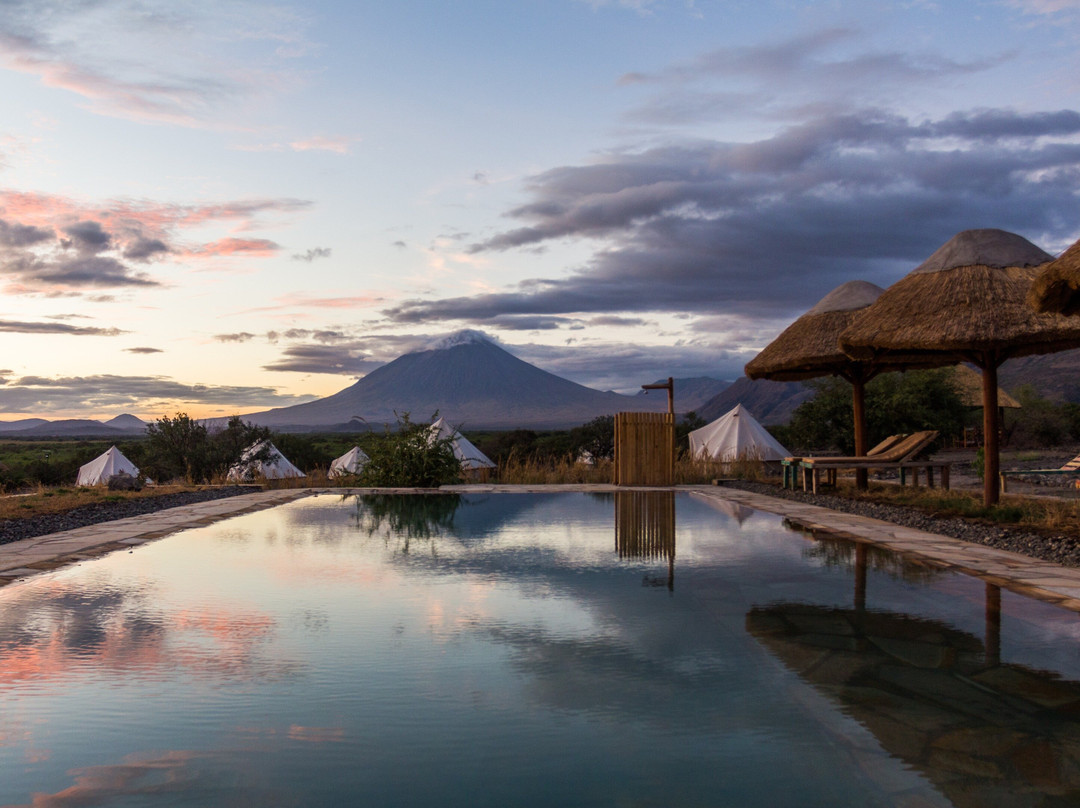 Paradise & Wilderness  | Beach & Safari Holidays-阿鲁沙必去景点