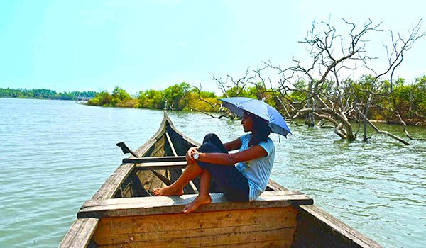 Kadalundi River Tourism景点图片