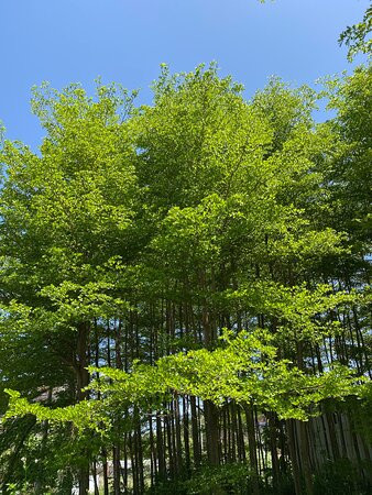 埔田农业观光区-揭东县必去景点