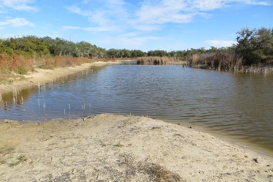 Memorial Park-罗克波特必去景点