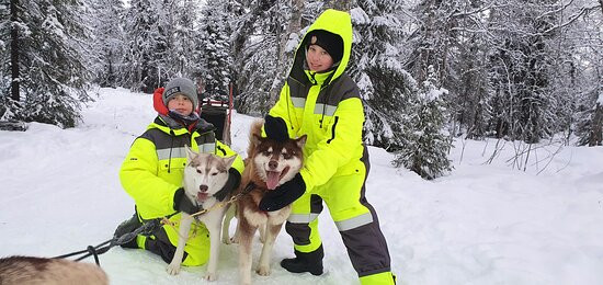 Husky Camp-摩尔曼斯克必去景点