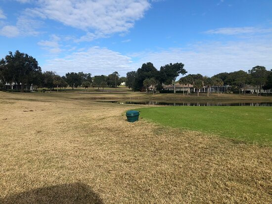 Country Club Of Silver Springs Shores景点图片