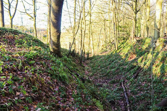 Linacre Reservoirs-切斯特菲尔德必去景点