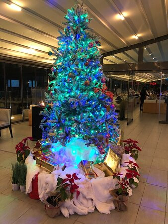 棕榈海滩温泉酒店主图