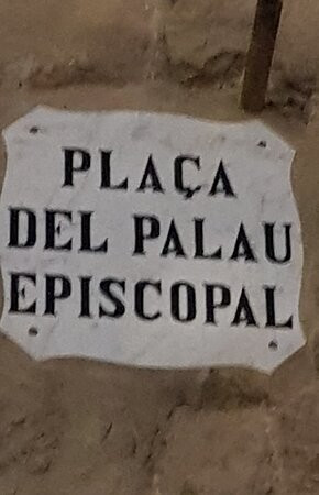 Plaça Del Palau Episcopal景点图片