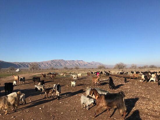 Bahman iran Nomad tour-Shiraz必去景点