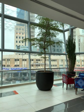 The Promenade Mall &   Al -  Othman  Tower景点图片
