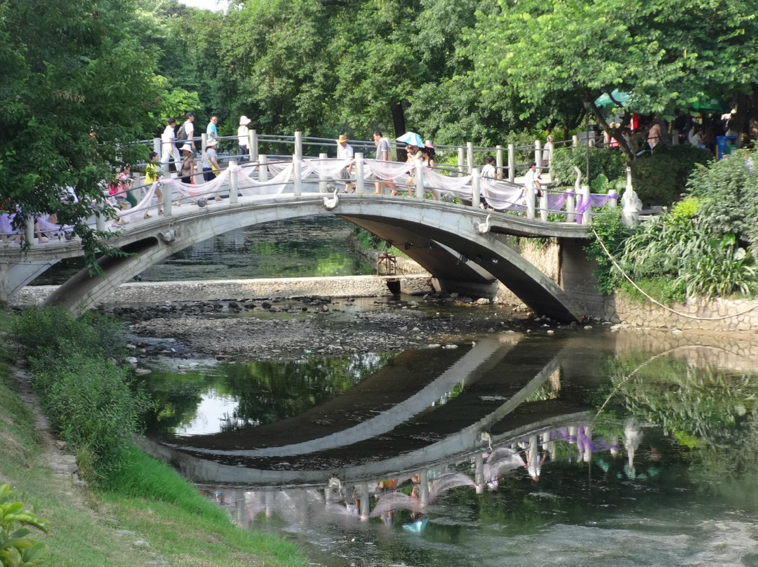 桂林植物园景点图片