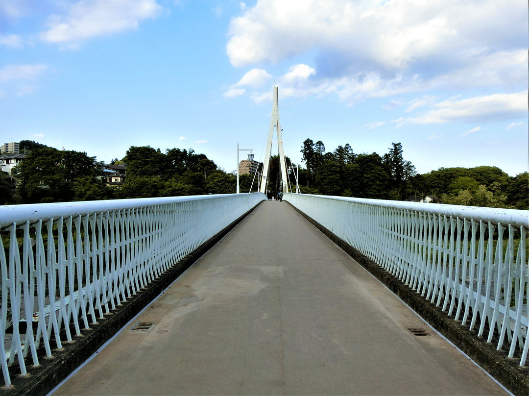 Ayumi Bridge-青梅市必去景点