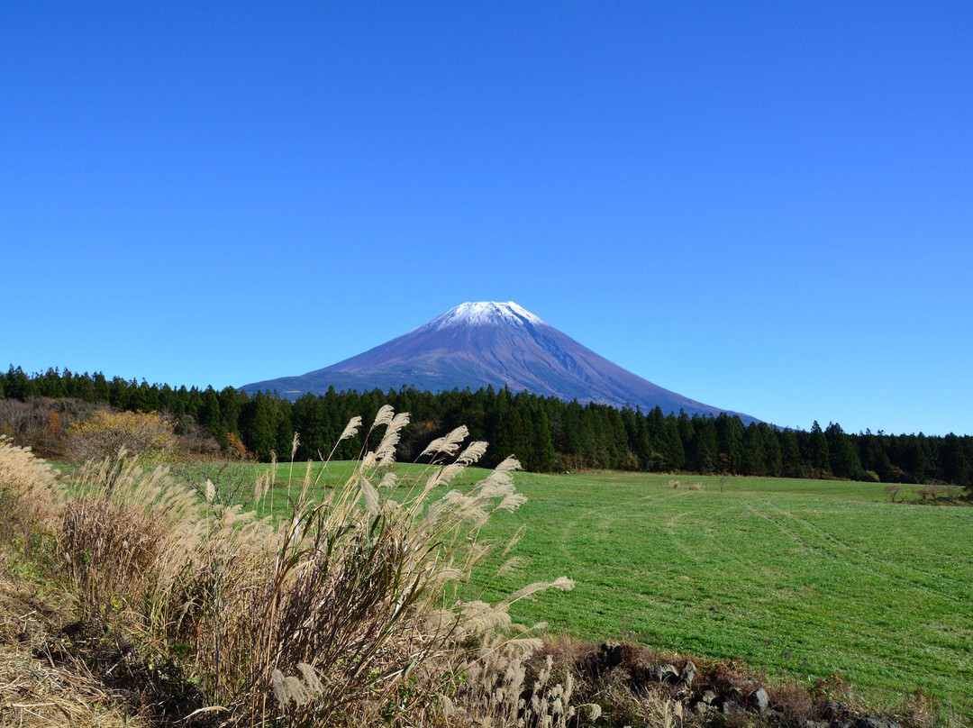 富士宫市旅游攻略图片