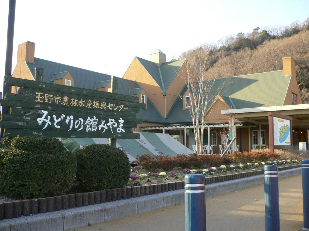 Miyama Park Roadside Station景点图片