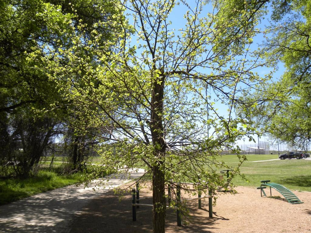 斯德伯克旅游攻略图片