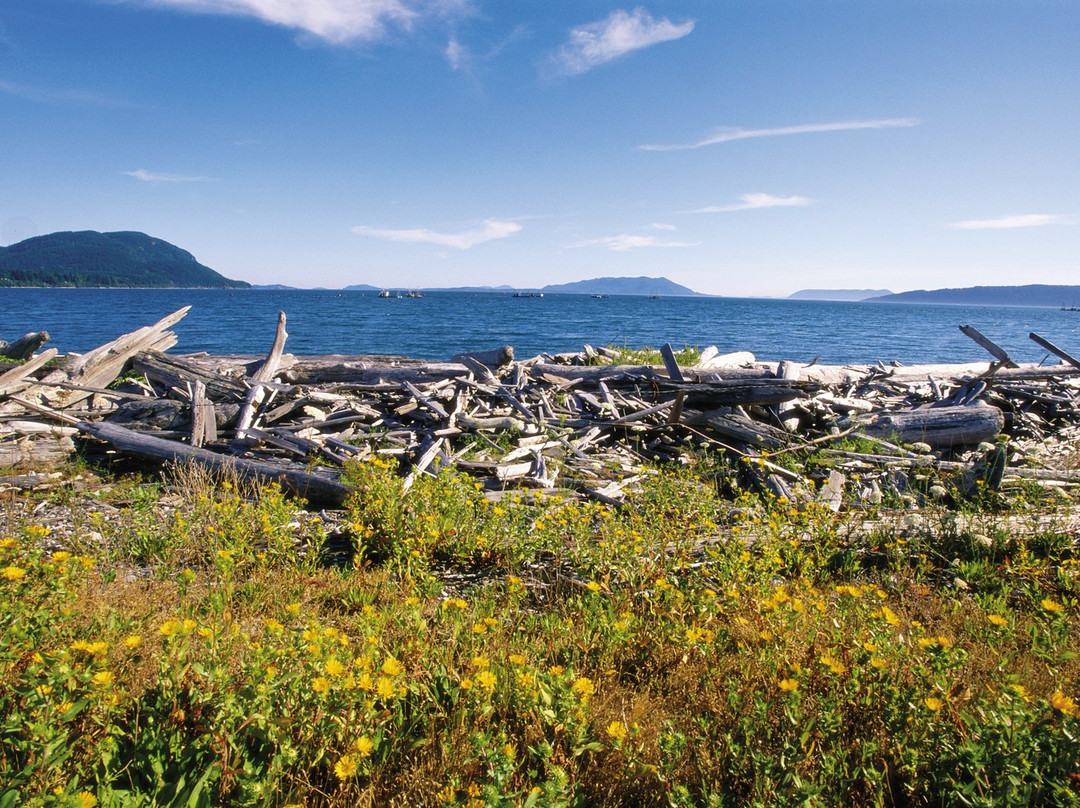 Lummi Island旅游攻略图片