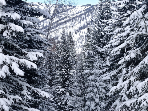 Katonkaragay District旅游攻略图片