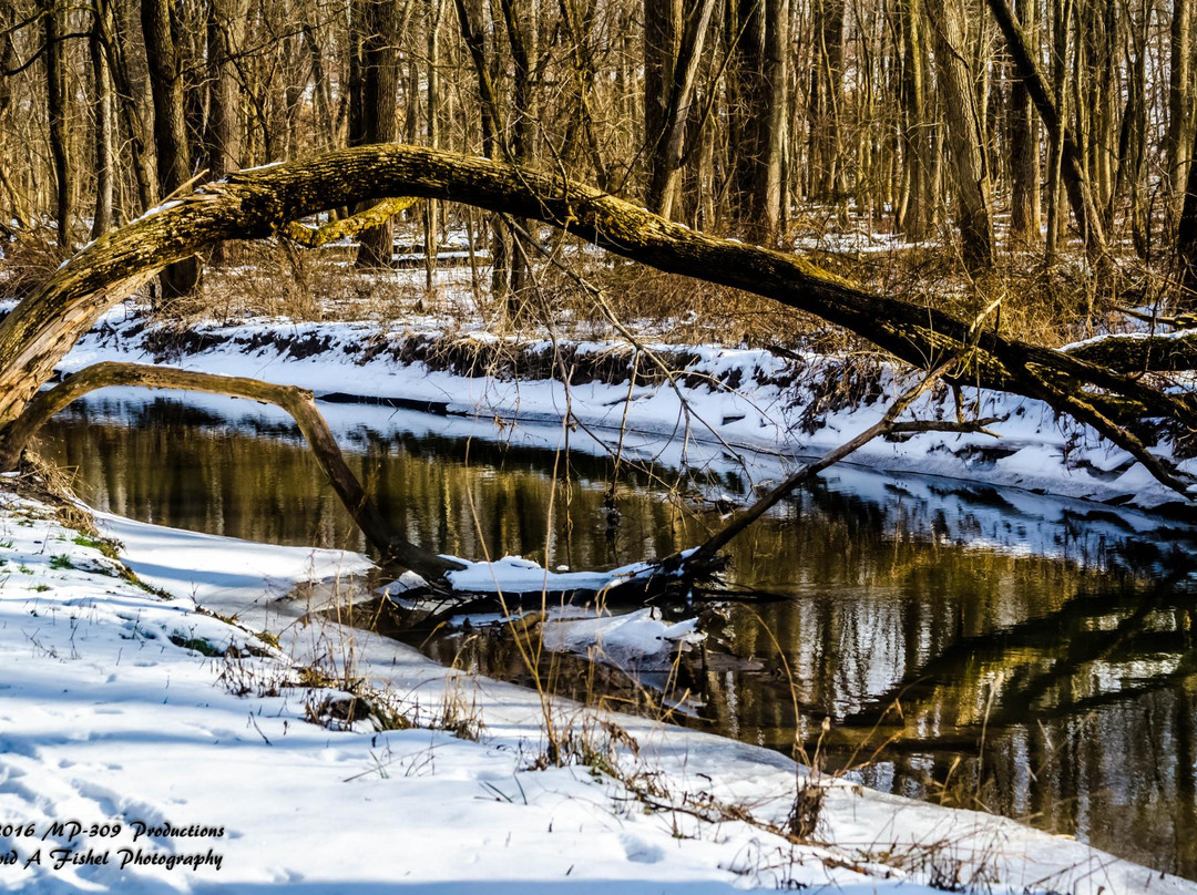 Pendleton旅游攻略图片