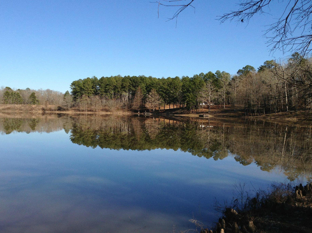 Holly Springs National Forest景点图片