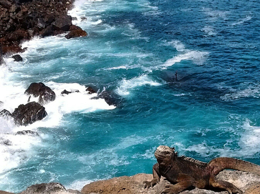 圣克里斯托瓦尔旅游攻略图片