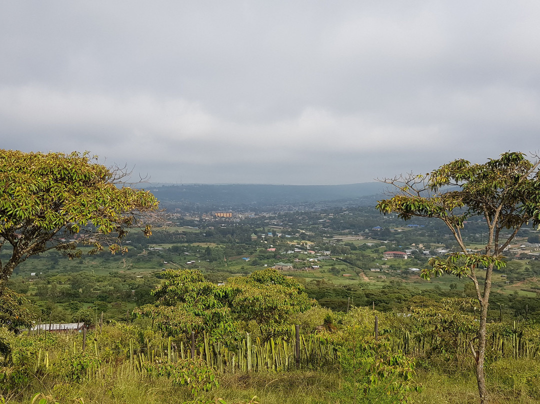 Ngari Hill Economy Accommodation
