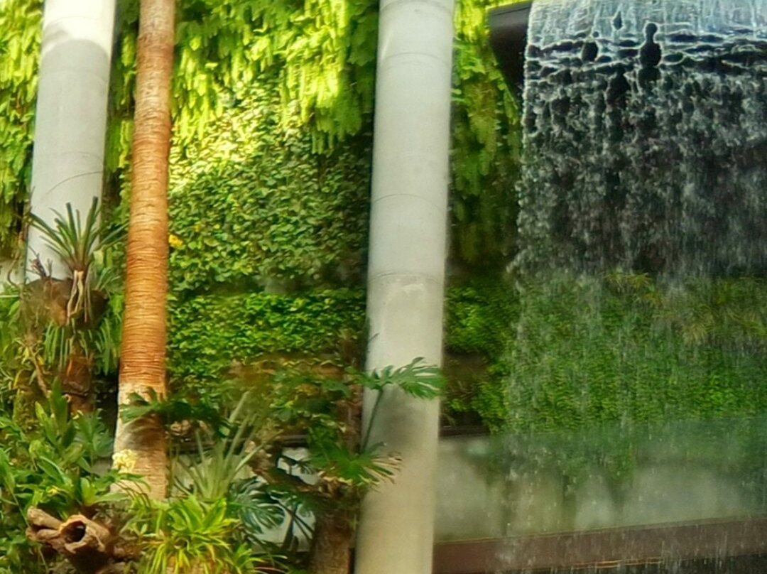 Orquidario de Estepona景点图片