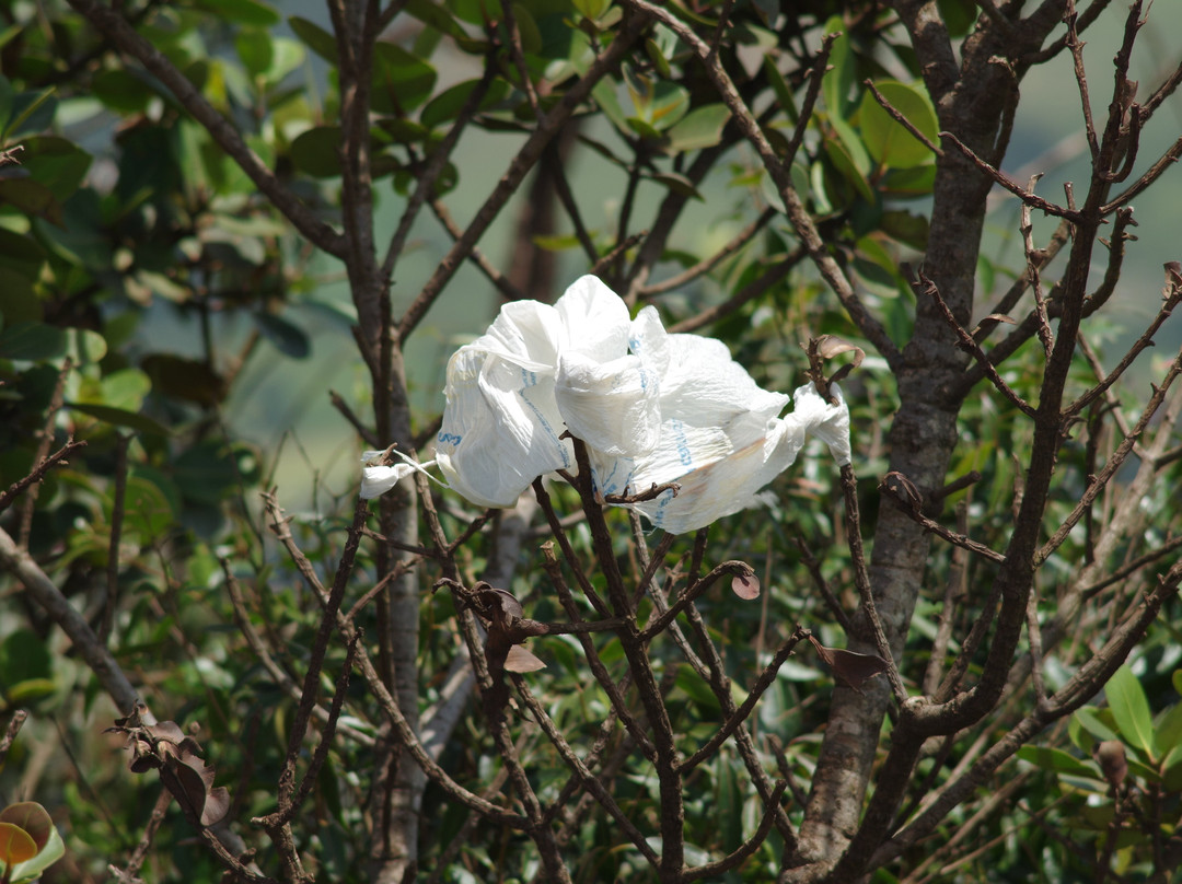 Serra Da Moeda-贝洛哈里桑塔必去景点