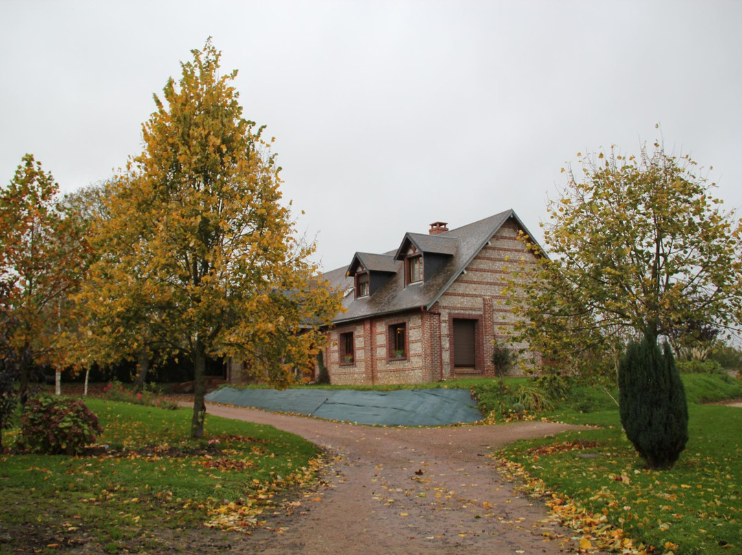 Saint-Romain-de-Colbosc旅游攻略图片